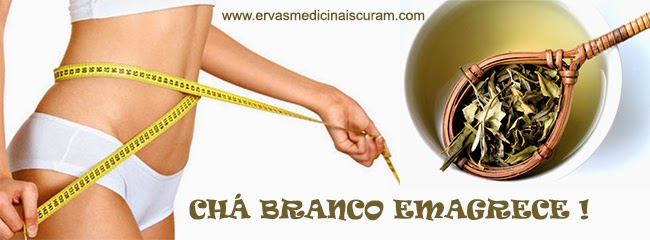 http://www.ervasmedicinaiscuram.com/