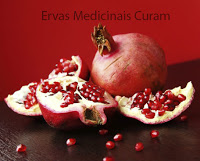 http://www.ervasmedicinaiscuram.com/