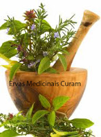 http://www.ervasmedicinaiscuram.com/