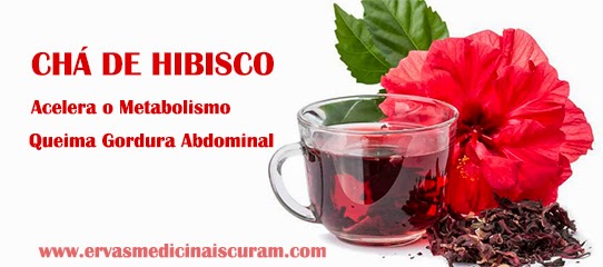 http://www.ervasmedicinaiscuram.com/