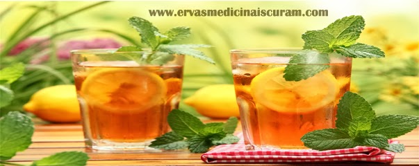 http://www.ervasmedicinaiscuram.com/