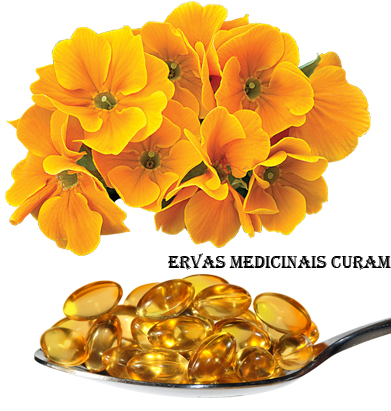 http://www.ervasmedicinaiscuram.com/