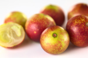 Camu Camu Frutas